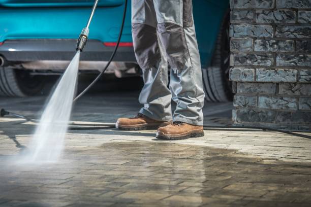 Best Winterizing Services  in Ricardo, TX