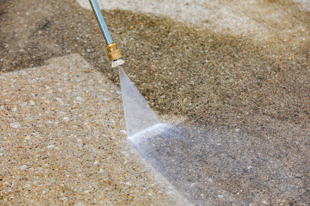 Professional Pressure Washing in Ricardo, TX