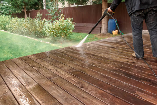 Best Solar Panel Cleaning  in Ricardo, TX