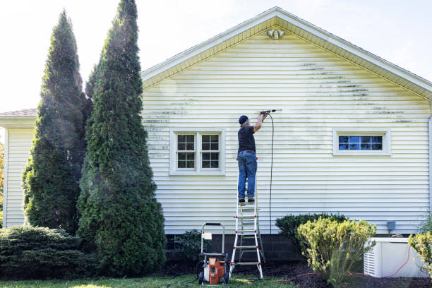 Best Building Exterior Washing  in Ricardo, TX