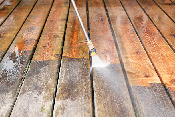 Best Restaurant Pressure Washing  in Ricardo, TX