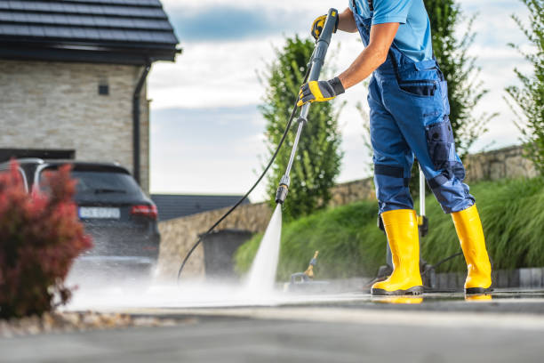 Best House Exterior Washing  in Ricardo, TX